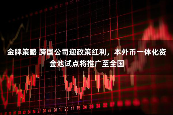 金牌策略 跨国公司迎政策红利，本外币一体化资金池试点将推广至全国