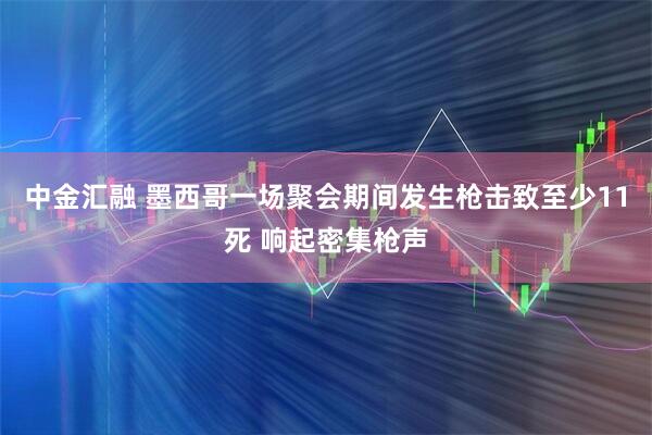 中金汇融 墨西哥一场聚会期间发生枪击致至少11死 响起密集枪声