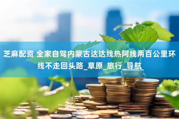 芝麻配资 全家自驾内蒙古达达线热阿线两百公里环线不走回头路_草原_旅行_导航