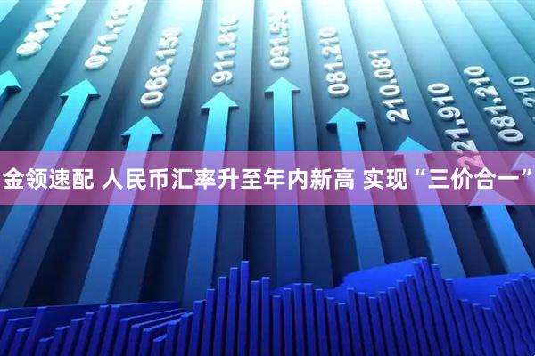 金领速配 人民币汇率升至年内新高 实现“三价合一”