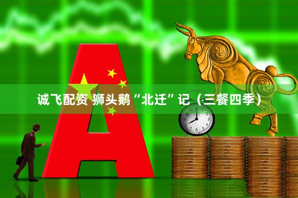 诚飞配资 狮头鹅“北迁”记（三餐四季）